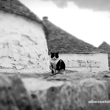 Trulli Mille E Una Notte 알베르벨로