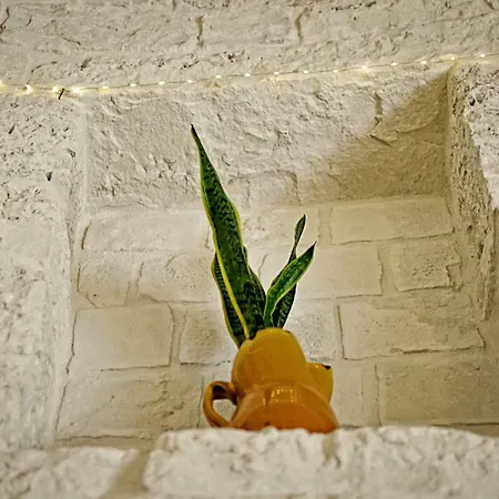 Trulli Mille E Una Notte B&B